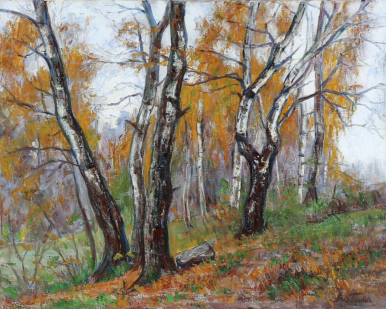 Marie Tannæs Autumn Forest with Birch Trees von Marie Tannæs