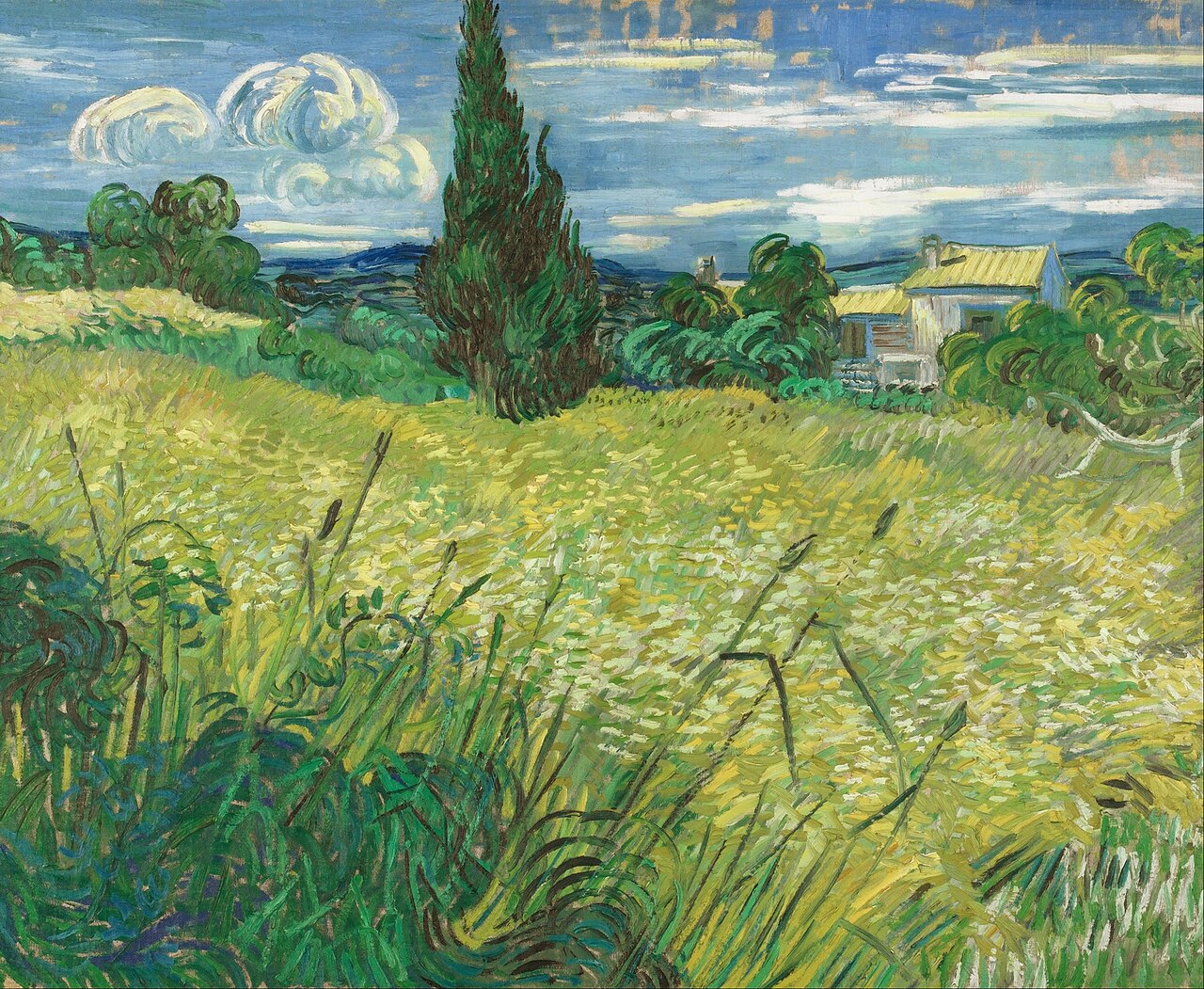 Green Field von Vincent van Gogh